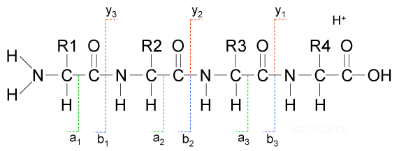 De Novo Peptide Sequencing Table Of Contents