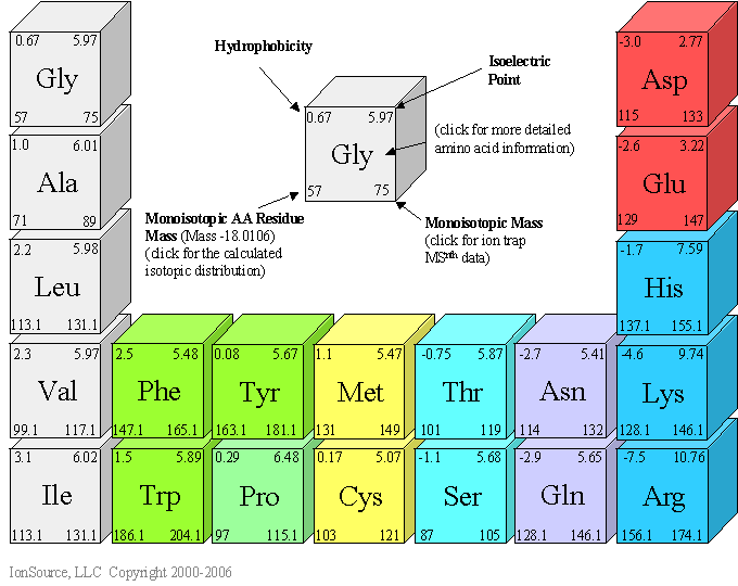 Amino Chart